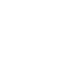 International & Multilingual Team